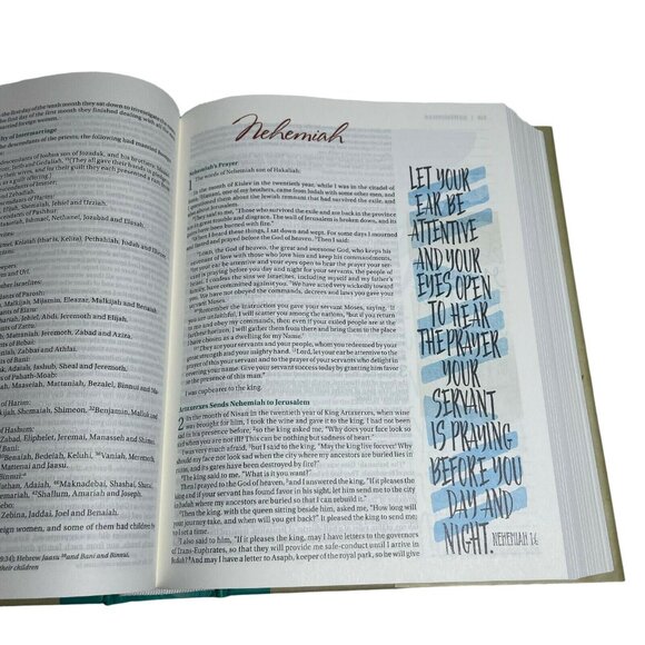 NIV Beautiful Word Illustrated Journaling Bible u Full Color - Picture 9 of 11